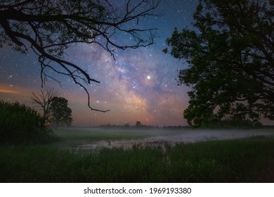 Starry night in National park Prypiacki, Belarus