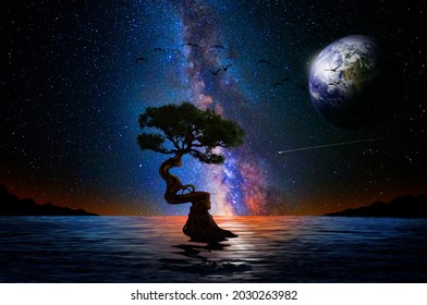 Starry night over the lake with tree