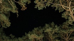 Starry Night Sky With Animated Backgrounds Of Twinkling Or Flickering Stars In The Forest. Constellations In The Winter Night Sky Visible Between The Trees.