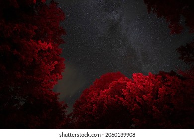 Starry Night Sky Near Mont-Mégantic, The World’s First International Dark Sky Reserve