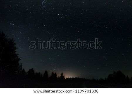 Starry night sky on a background of dark forest
