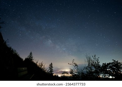 A starry night sky over the active city at night with trees and bushes in the foreground - Powered by Shutterstock