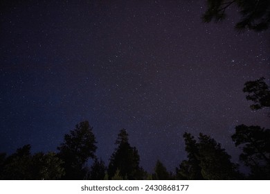 Starry Night Sky with Silhouetted Coniferous Trees in Sedona - Powered by Shutterstock