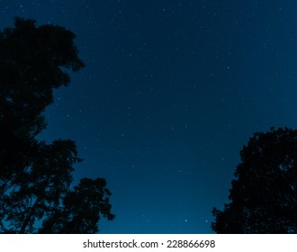 Starry sky.