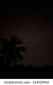 Starry Sky