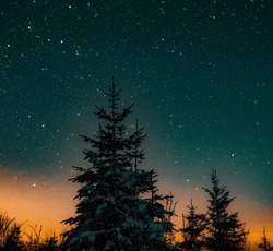 Starry Sky In Blue And Orange Colors, Very Exotic And Original, Tall Pine Trees With Snowy Leaves At Night