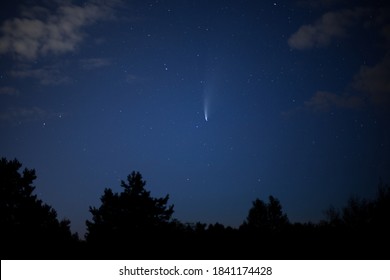 Starry sky with a comet and other celestial bodies on the background of the horizon with silhouettes of trees