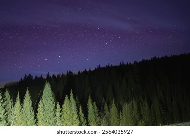 Starry sky in the forest 
