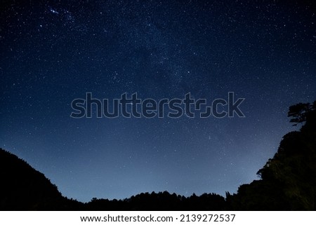 Starry sky in the forest with a lot of trees.