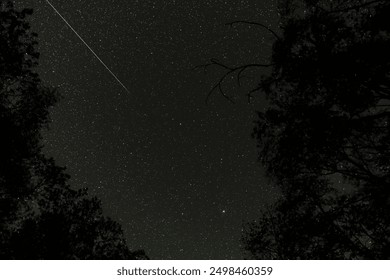 Starry sky with green laser beam framed by tree branches. Astrophotography - Powered by Shutterstock