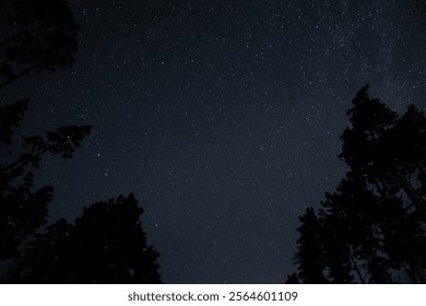 Starry sky illuminated by countless stars above a dense forest, showcasing a calm and peaceful summer evening atmosphere. The silhouettes of tall trees are visible. - Powered by Shutterstock