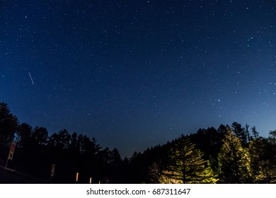 Starry sky with trees