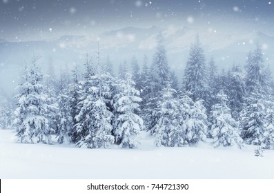 Starry Sky Winter Snowy Night Fantastic Stock Photo 744721390 ...