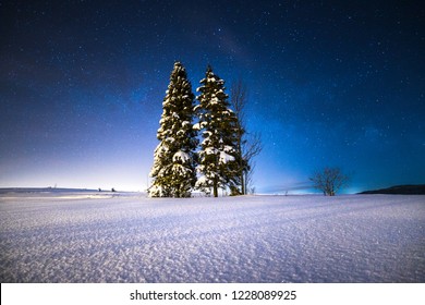 Starry Winter Night. Christmas Trees On A Snowy Field Under The Starry Winter Sky. Magic Christmas Night. Winter Wonderland.