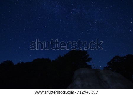 starrynight