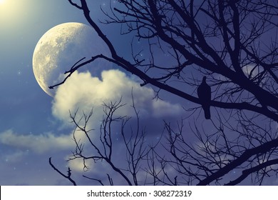 15,585 Bird moon tree Images, Stock Photos & Vectors | Shutterstock