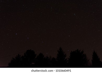 The stars at night with a shooting star, the big dipper and the silhouette of trees in the foreground