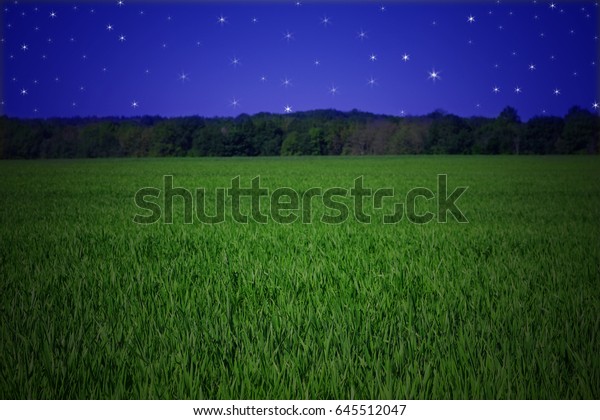 evening sky grass background