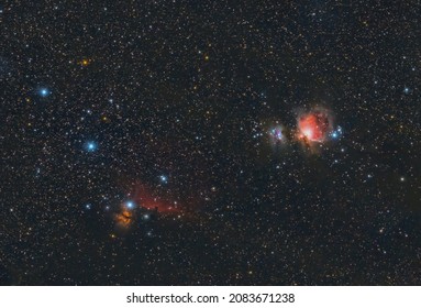 The stars of the Orion belt on 1st December 2021 with the Horsehead nebula and the Orion nebula