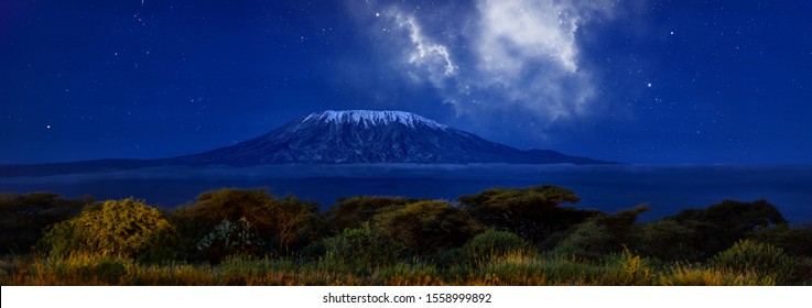 Stars over Mount Kilimajaro. Panoramic, night scenery of snow capped highest african mountain, lit by full moon against deep blue night sky with stars. Savanna view, Amboseli national park, Kenya. 