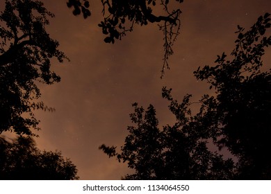 Stars In The Sky With Light Clouds Illuminated By Light Pollution Reflection Of City Lights In Heavily Urbanized Randstad Area, Netherlands