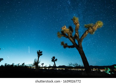 Stars In The Sky At Night Over Joshua Tree In Mojave Desert, California