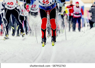 start group of skiers athletes sport of cross-country skiing