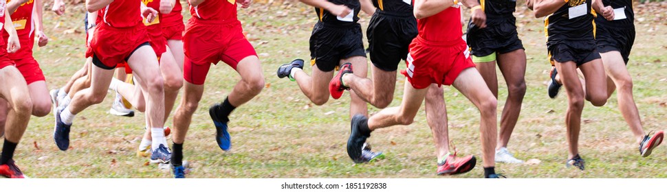 Start Of High School Boys Cross Country Running A Race On A Grass Field.