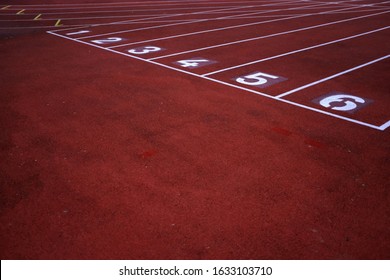 startline in the athletic stadium