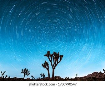 Startrail Joshua Tree Night Photo