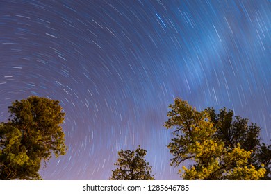 Startrails In Night Sky, Bryce Canyon National Park, Utah