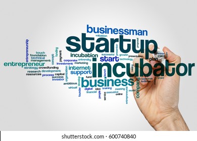 Startup Incubator Word Cloud Concept On Grey Background