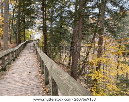 Starved Rock walking path fall