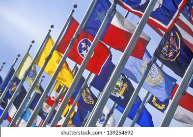 State Flags Of The United States