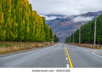 State Highway 6, South Island Of New Zealand 