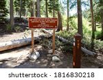 Stateline, Nevada - 2020: Tahoe Rim Trail signage. Located near Kingsburry South trail head and Heavenly Ski Resort. Signage regarding Tahoe Rim Trail camping, hiking, fires, stove, Leave no Trace.