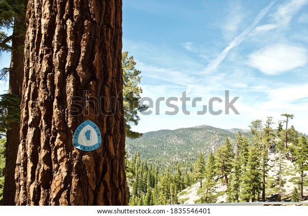 Stateline, NV - 2020: Tahoe Rim Trail marker on a tree.\
Blue and white Tahoe Rim Trail logo with a map of Lake Tahoe and\
the trail. Located near Kingsburry South trail head and Heavenly\
Ski Resort. 