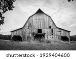 Stately old barn in rural Bates County Missouri