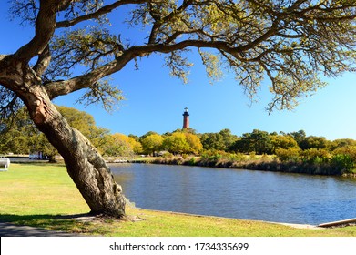 A stately tree frames the Currituck Lighthouse on North Carolina’s Outer Banks