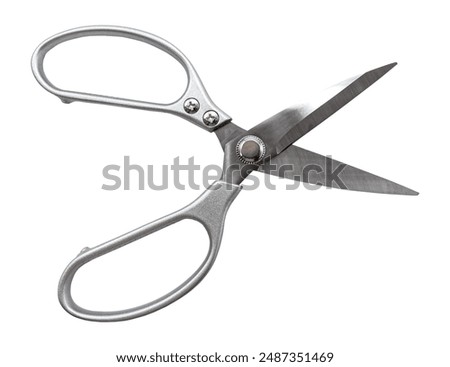 Stationery scissors on a white background for office work. Tailor's or seamstress's scissors