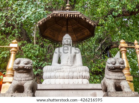 A statue of Buddha at the Buddhist Kelaniya temple in Sri Lanka.
