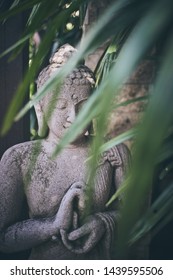 Statue of buddha hidden in leaves of tropical plant                           