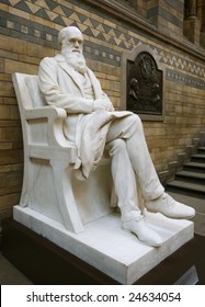 Statue Of Charles Darwin, Natural History Museum, London.