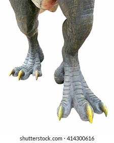 dinosaurs feet