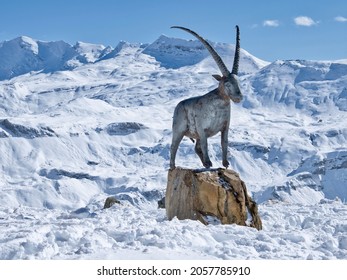 A statue of an ibex along the Grossglockner Alpine Road in mid-october