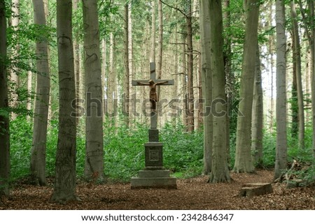 Statue of Jezus Chris in a forest - The Netherlands