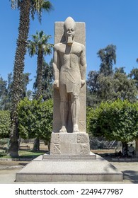 Statue of pharaoh Ramses in Memphis was the capital of the Old Kingdom of Egypt. The ruins of the city are located 19 km south of Cairo, on the west bank of the Nile. - Shutterstock ID 2249477987