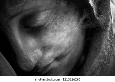 این دختر زیبا پرده بکارت خود را سه میلیون دلار فروخت عکس