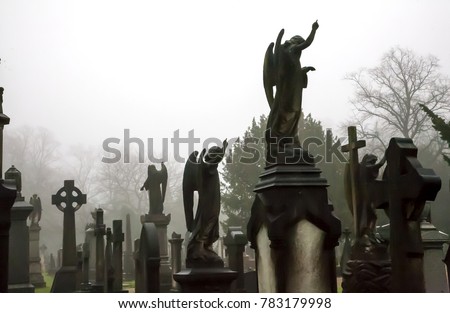 statues of angels in misty atmospheric graveyard