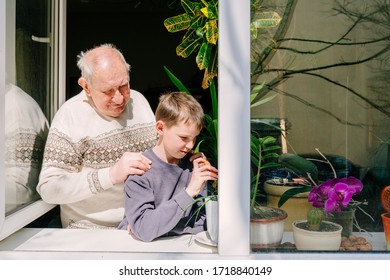 Stay home. Grandfahther and grandson together standing behind winndow full of plants. Concept of universal pandemic quarantine.